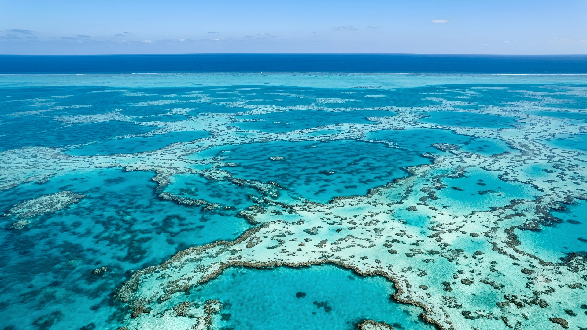 Aerial view of coral reefs