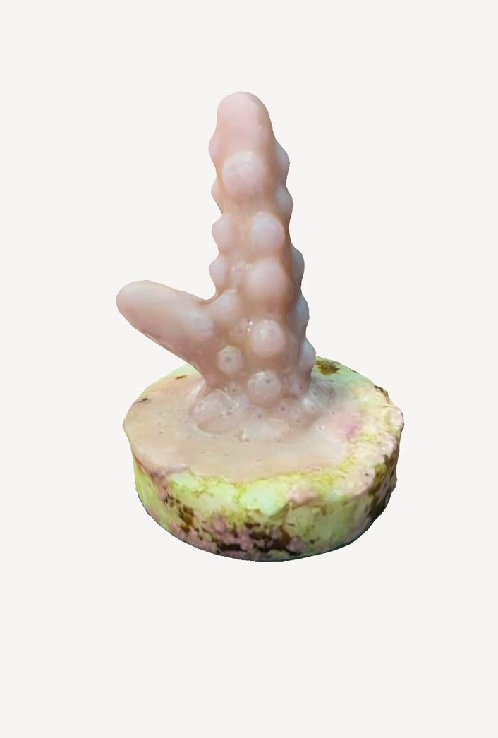 3D-printed coral structure made from our natural biomaterials.